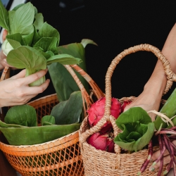 Sa, 28.6.2025, 17 bis 21 Uhr:  KOCHEN MIT MARA - Ein Gemeinschafts-Workshop mit anschl. Essen und Live-Musik